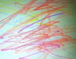 drawing, toddler, crayons