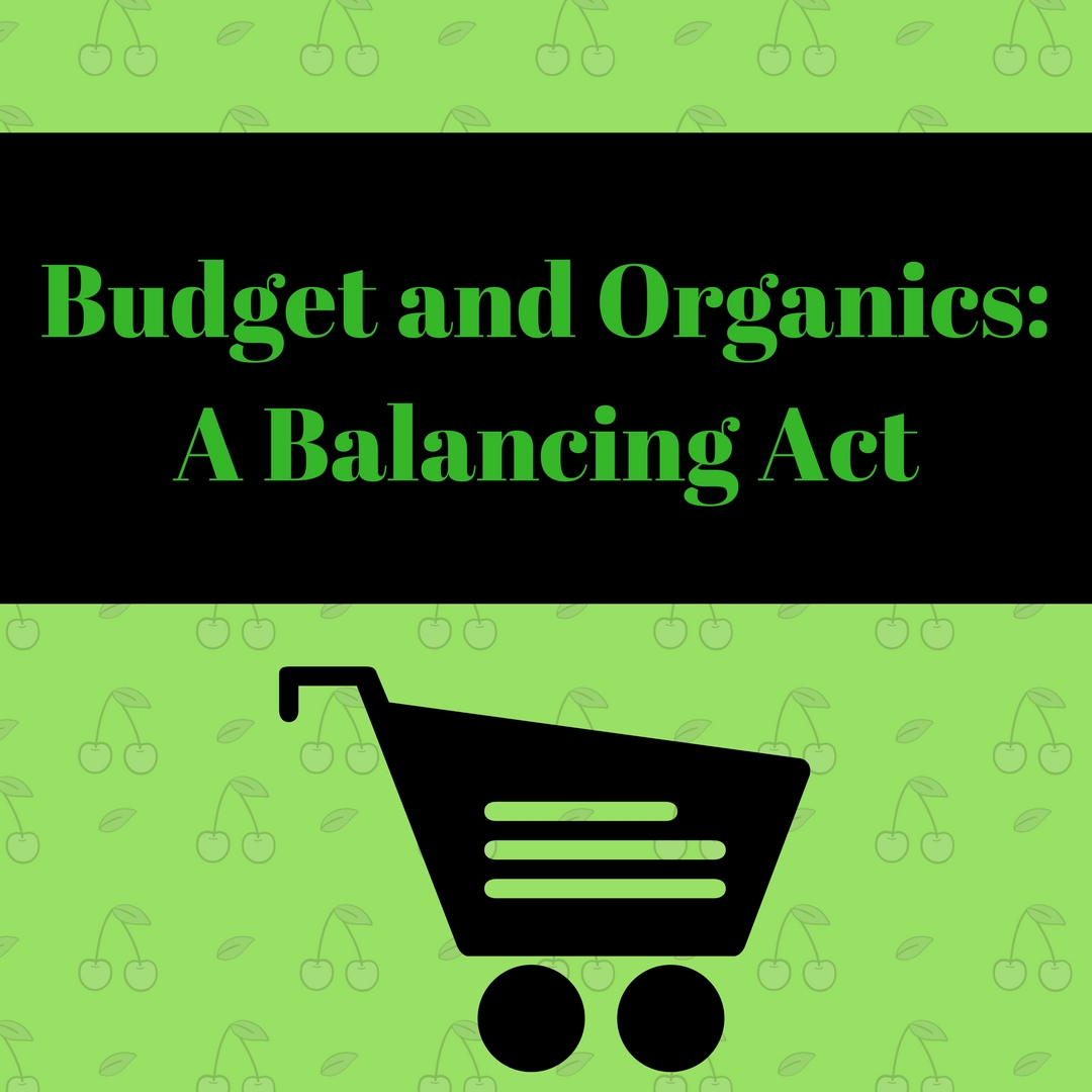 budget, organic, balance, blog
