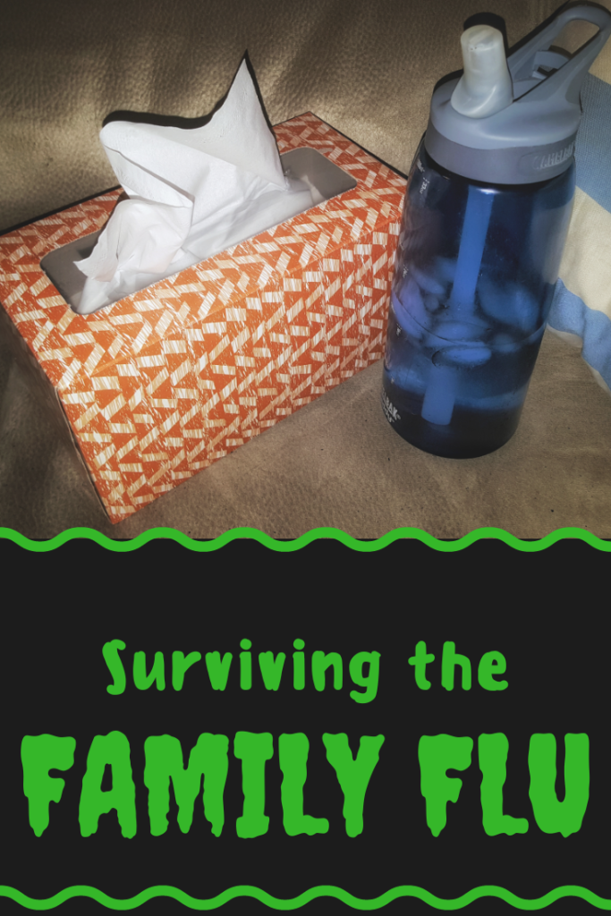 family, flu, surviving, blog
