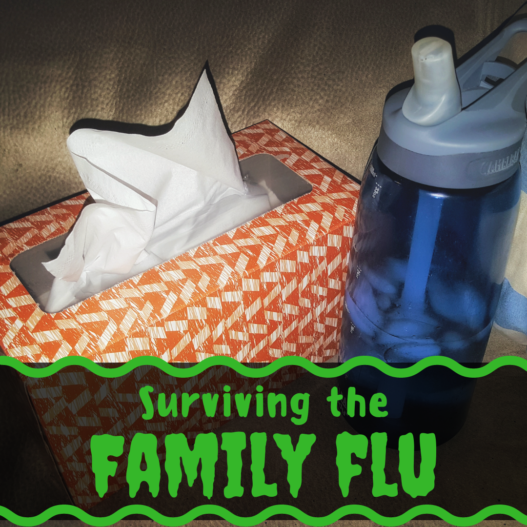 family, flu, survivial, blog