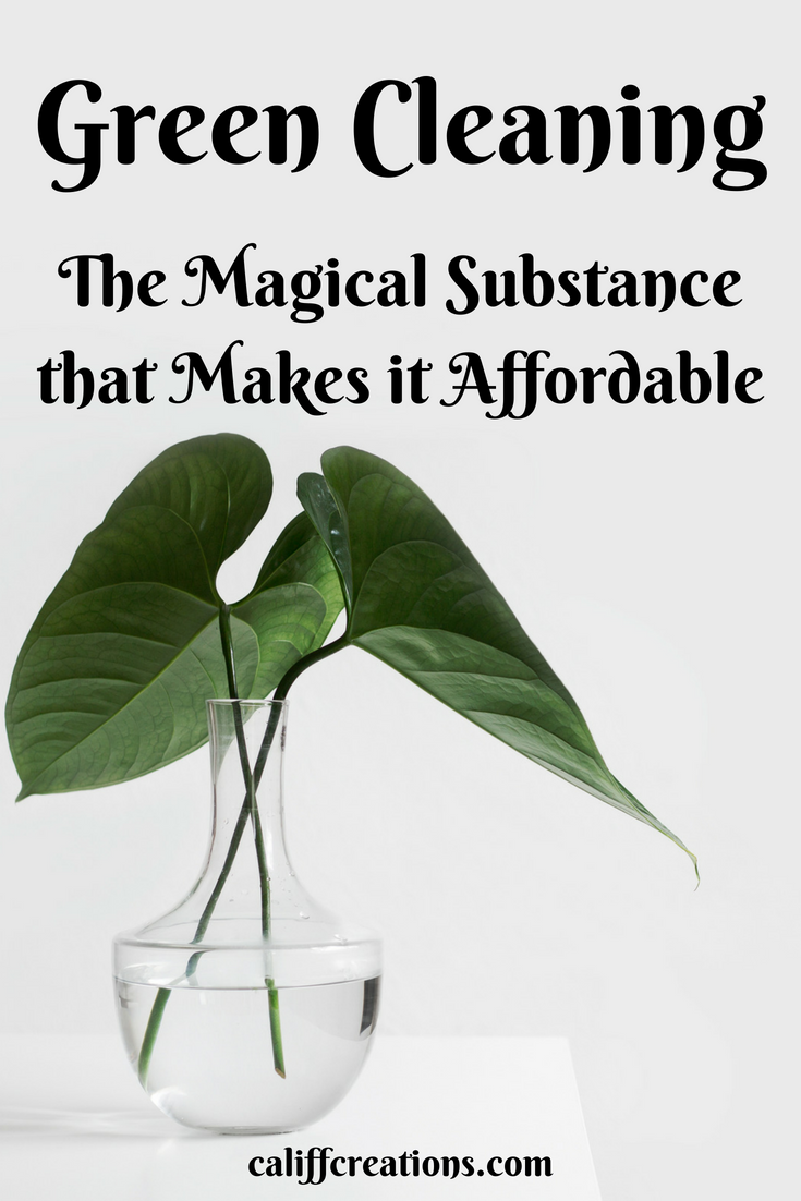 Green cleaning the magical substance that makes it affordable