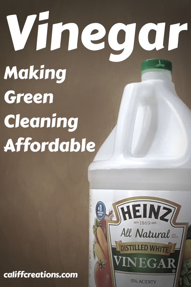 Vinegar Making Green Cleaning Affordable