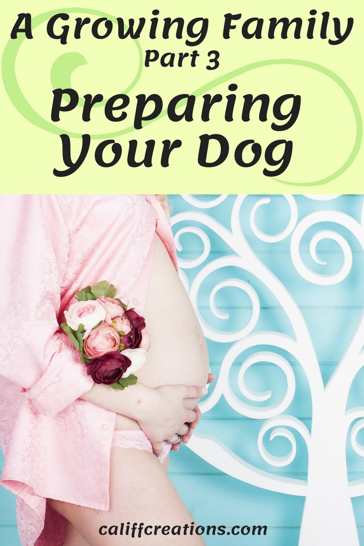 A Growing Family Part 3 Preparing Your Dog