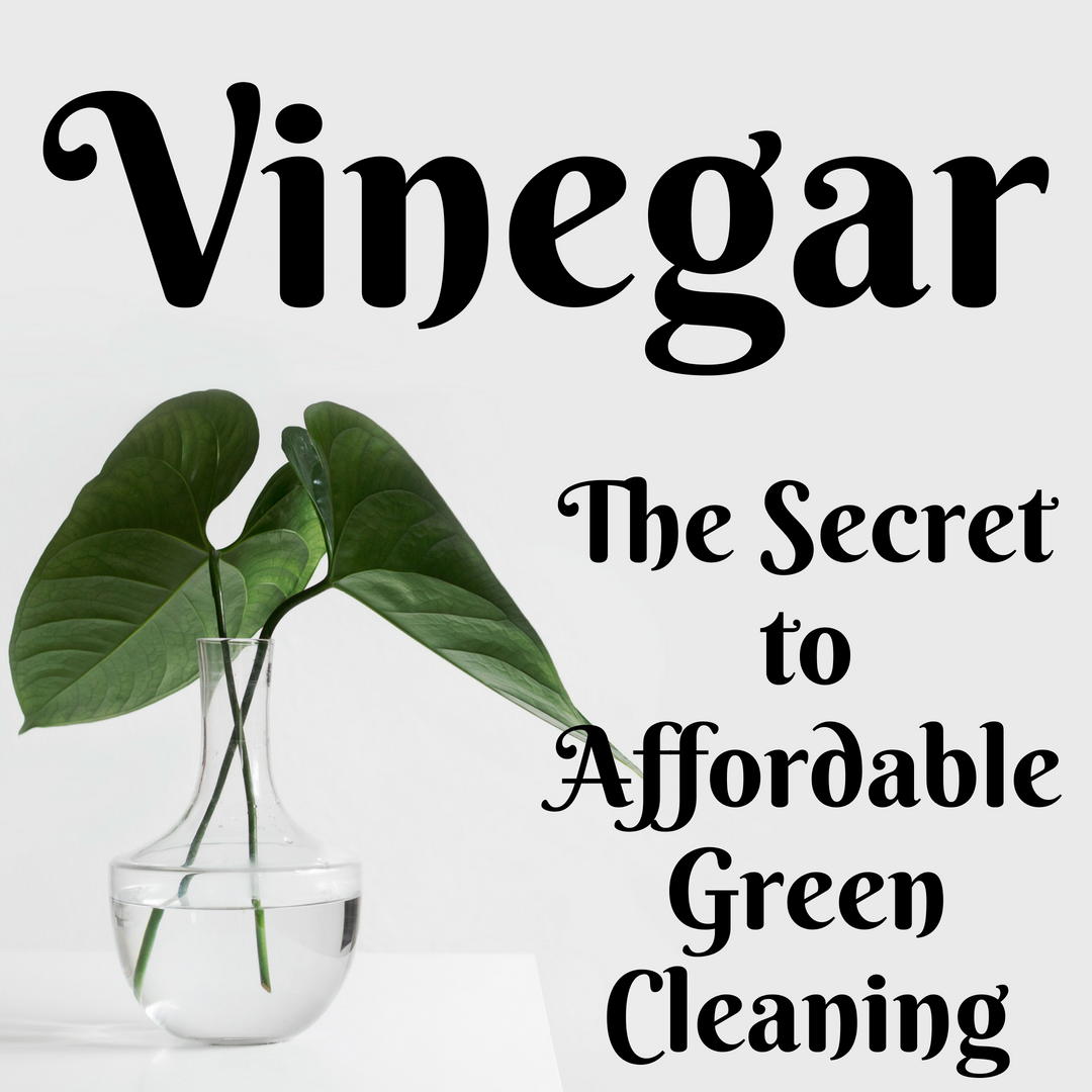 Vinegar: The Secret to Affordable Green Cleaning