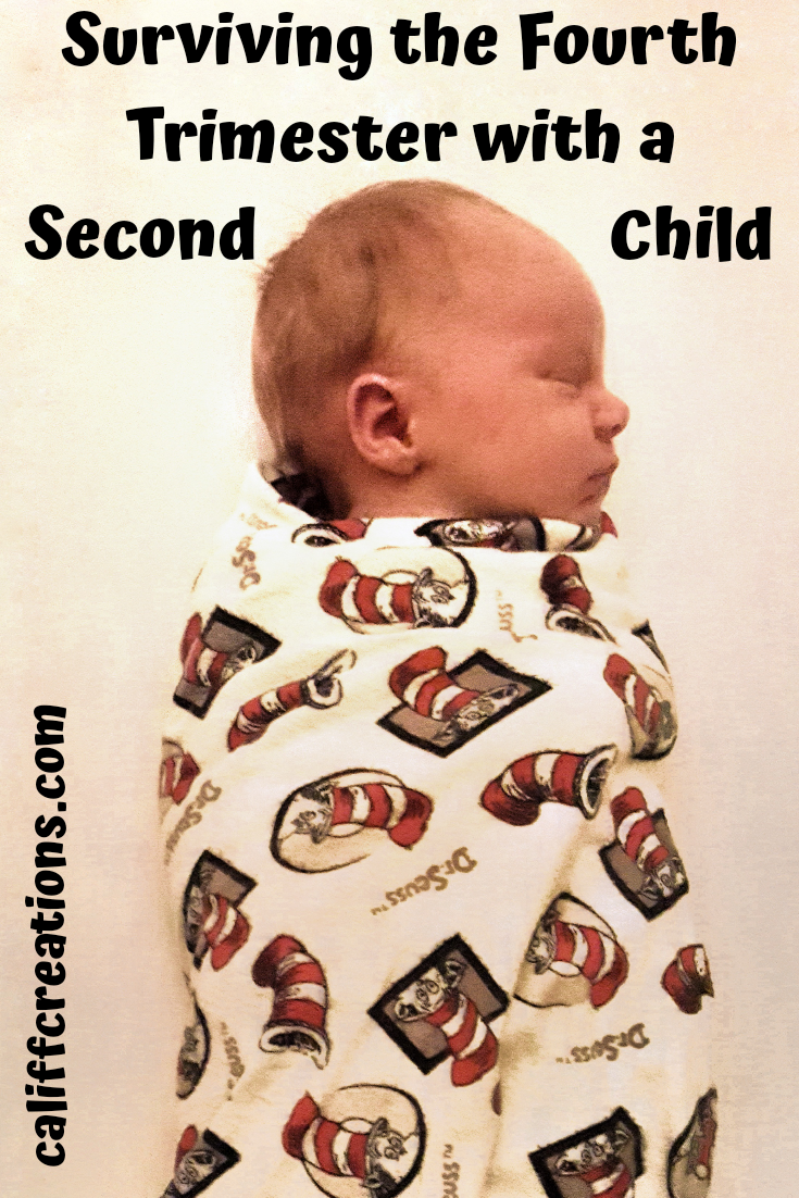 Surviving the Fourth Trimester with a Second Child