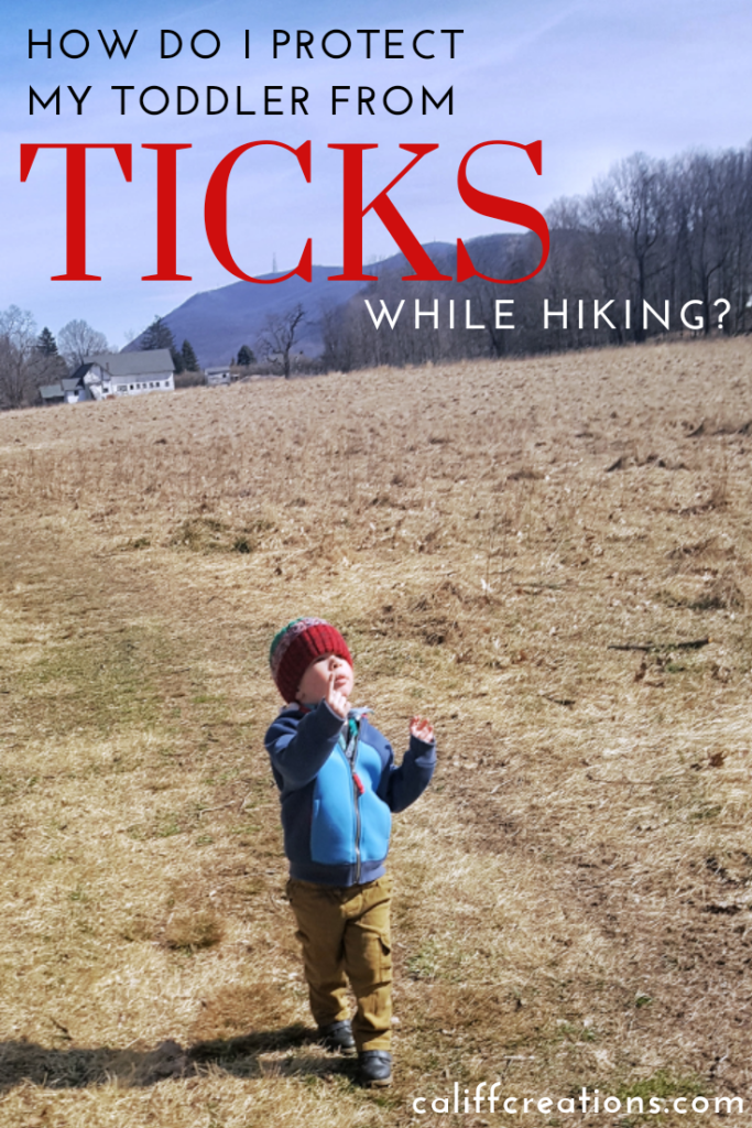 Hiking with toddlers - Protect from ticks