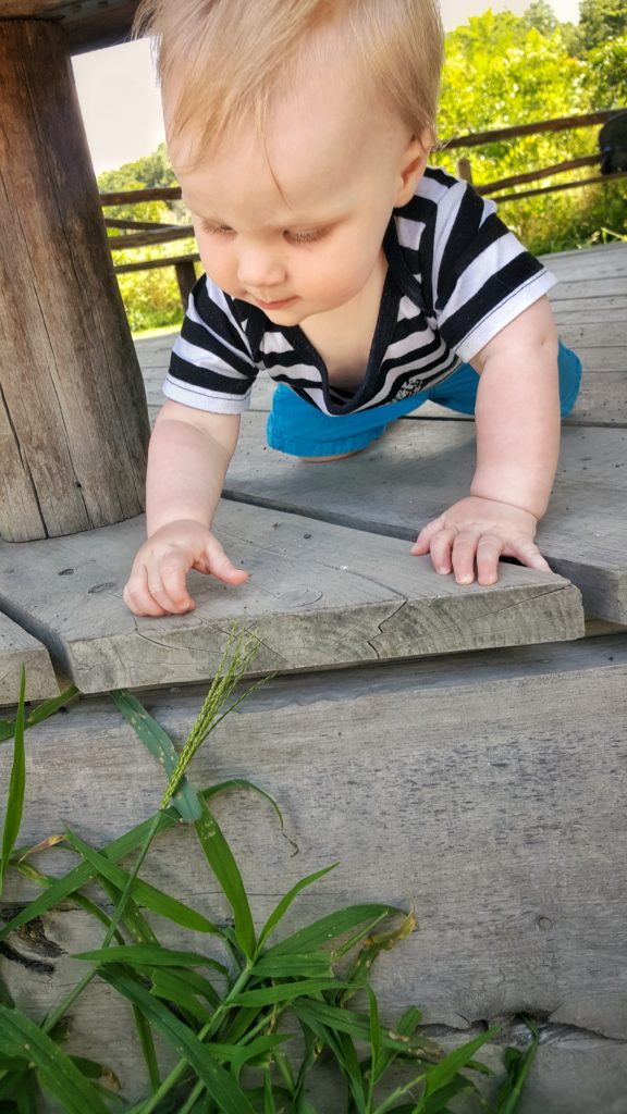 Curious baby exploring nature
