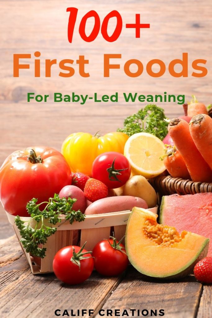 Baby-Led Weaning Baby's 100+ First Foods