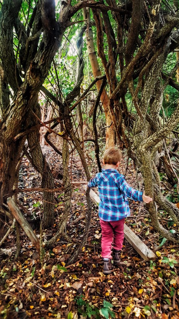 One of the most magical places we've found while child-led hiking