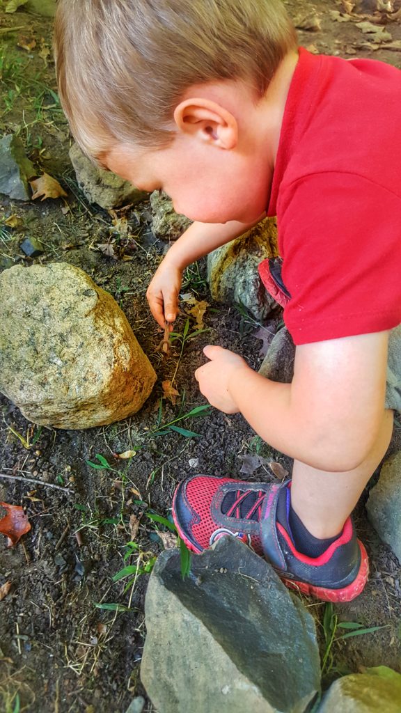 My Preschooler Observing Earthworms and Learning