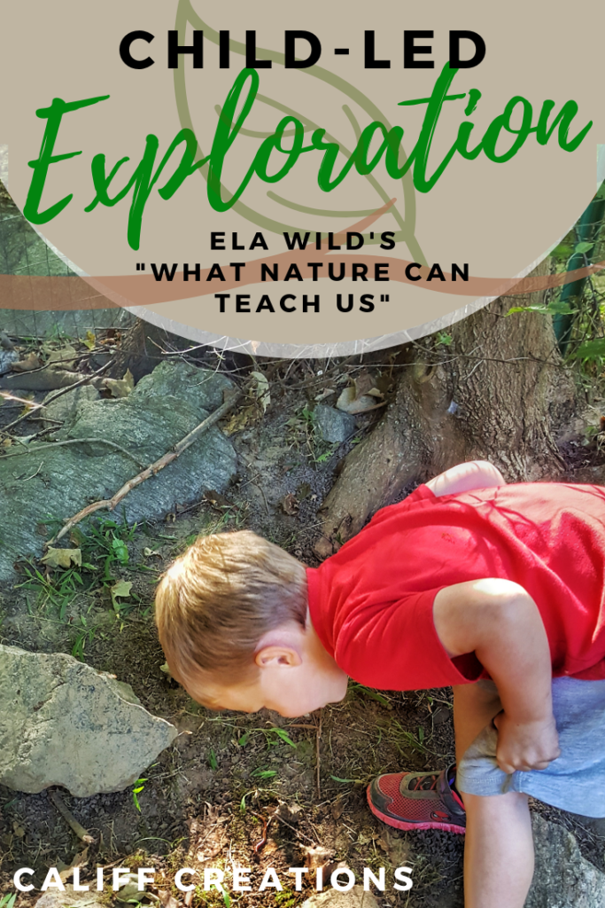 Child-Led Exploration: Ela Wild's What Nature Can Teach Us