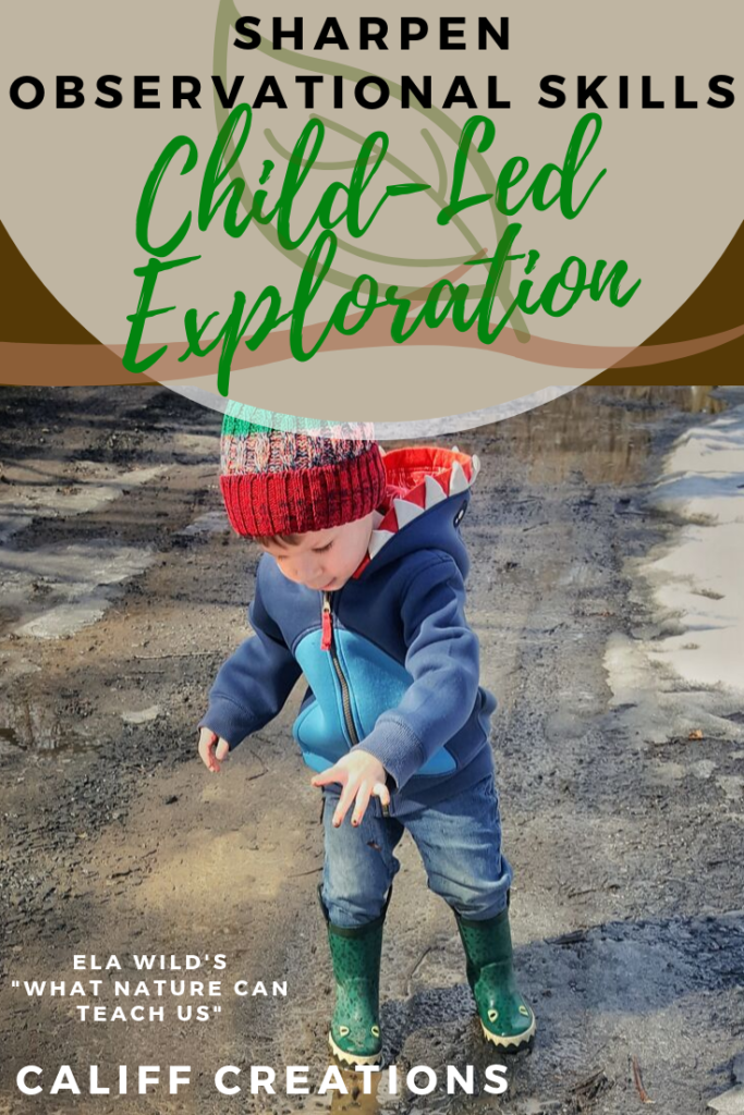 Sharpen observational skills through Child-led Exploration
