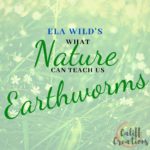 Ela Wild's What Nature Can Teach Us: Earthworms