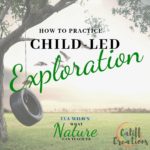 Child-Led Exploration