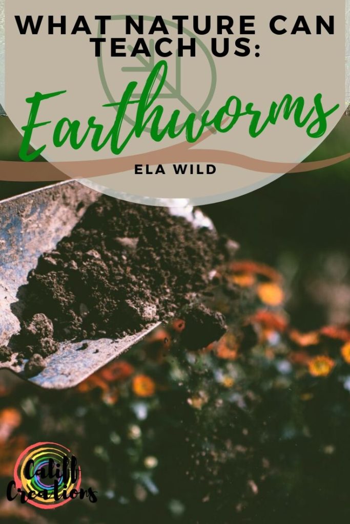Ela Wild's What Nature Can Teach Us: Earthworms