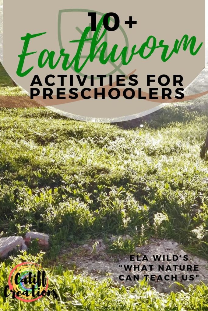 10+ Earthworm Activities for Preschoolers