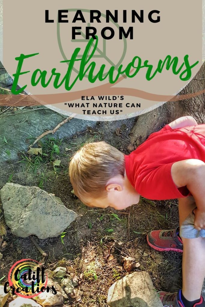 Learning from Earthworms for Preschool