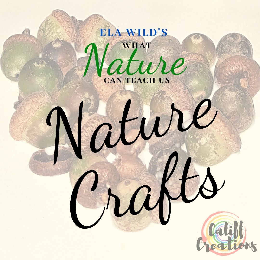 Nature Craft Ela Wild What Nature Can Teach Us