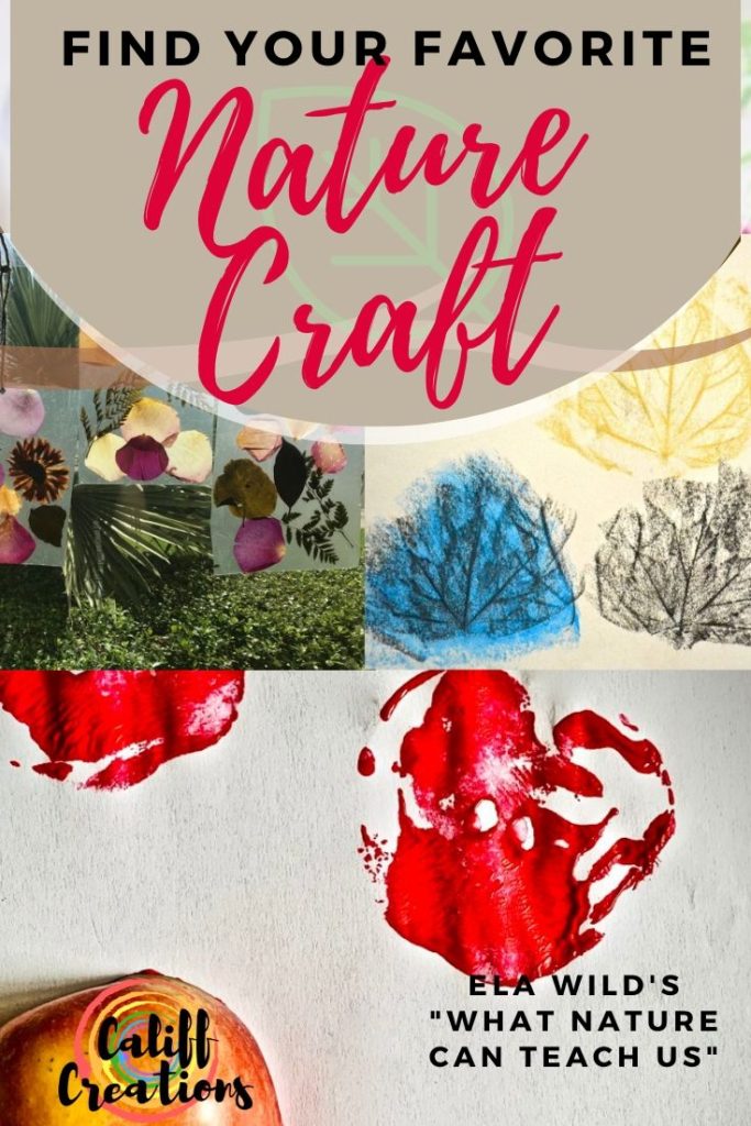 Find your Favorite Nature Craft with Ela Wild's What Nature Can Teach Us
