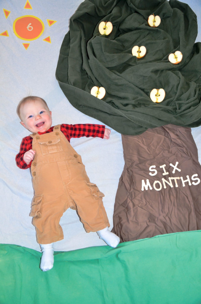 My son's 6 month Photo