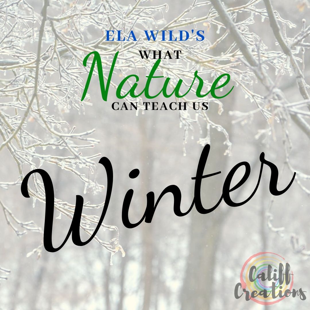 Ela Wild's What Nature Can Teach Us: Winter