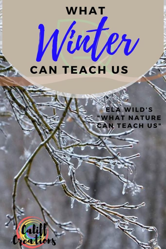 Ela Wild's What Nature Can Teach Us: Winter