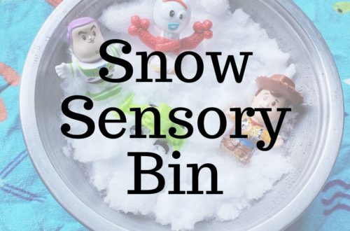 Snow Sensory Bin