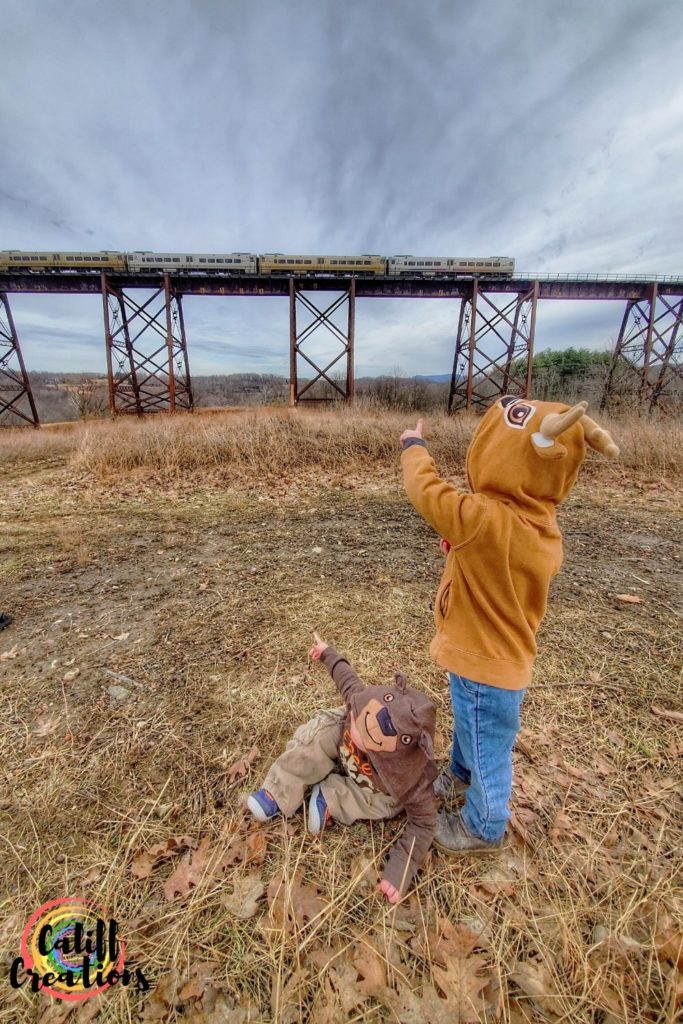 My boys looking at the train trestle