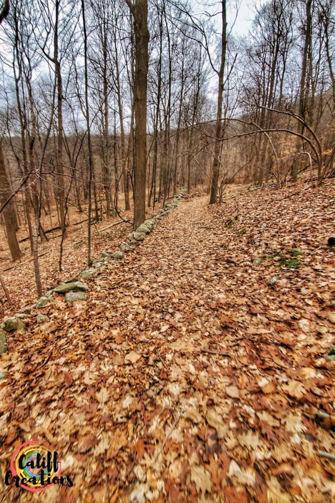Trail at the Hudson Highlands Nature Museum, another trail toward our goals