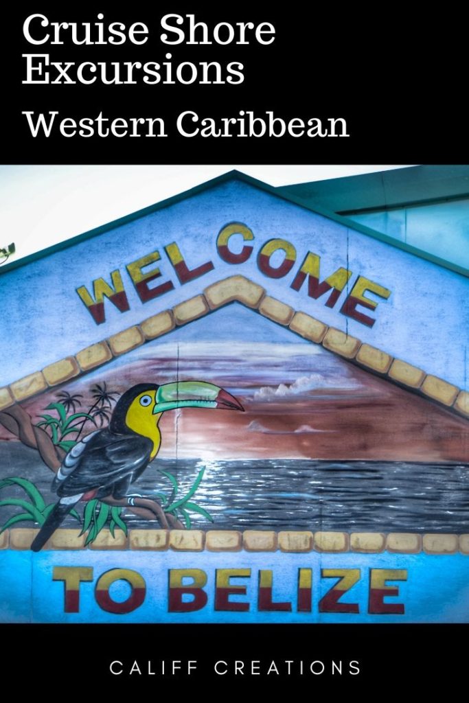 Cruise Shore Excursions: Western Caribbean