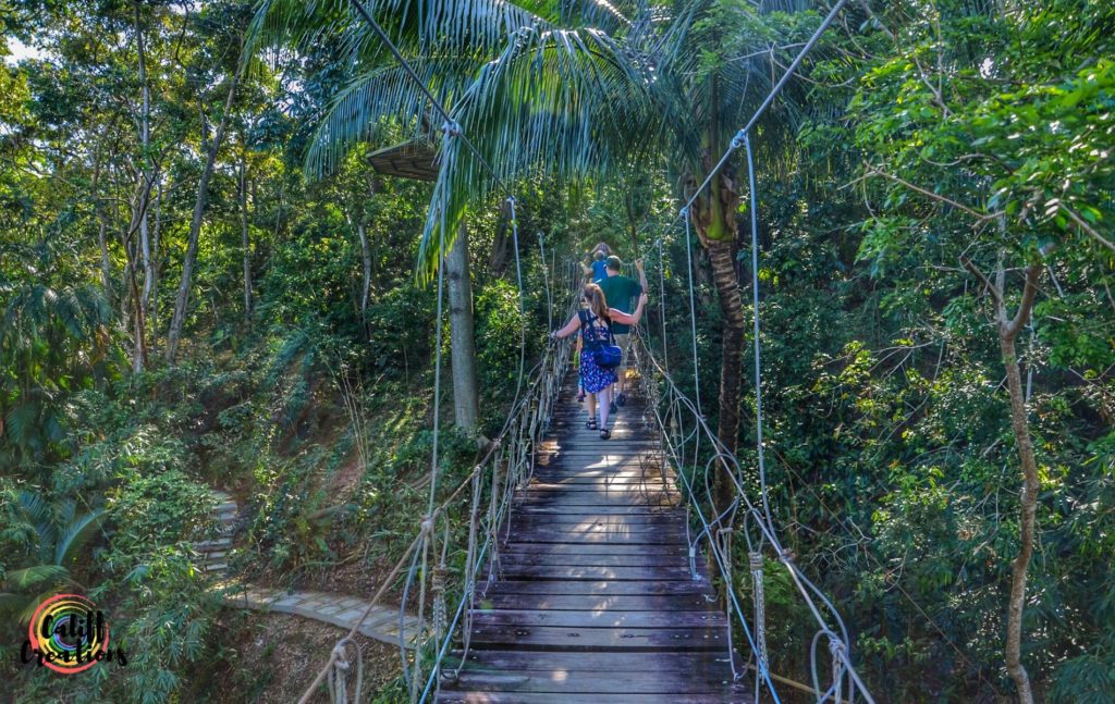 Walking across the bridge at Gumbalimba Park shore excursions