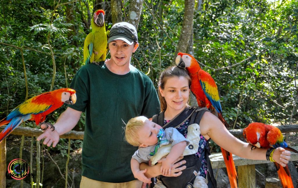 Husband, myself and 16 month old with birds