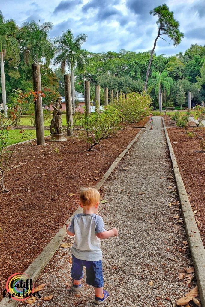 Exploring the Mable Ringling Rose Garden.