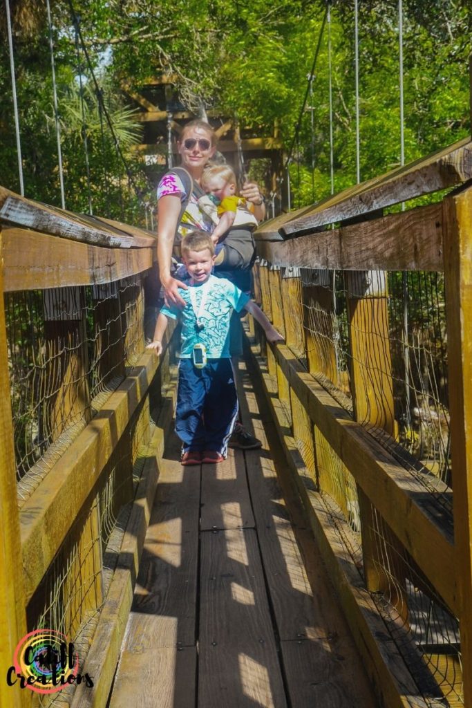 Me and my boys on the canopy walk bridge in Myakka River State Park, Florida