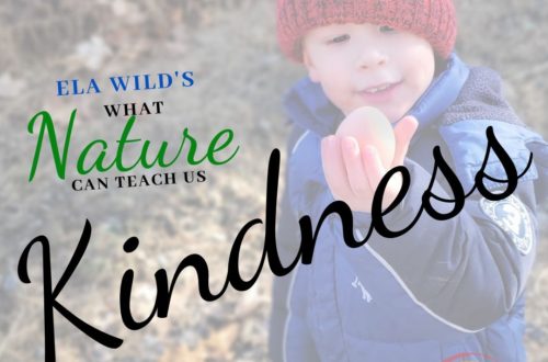 Ela Wild's What Nature Can Teach Us: Kindness