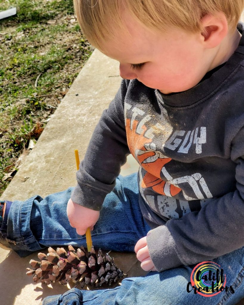 painting pinecones outside