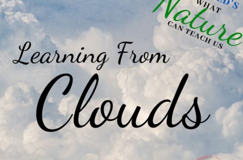 Learning From Clouds