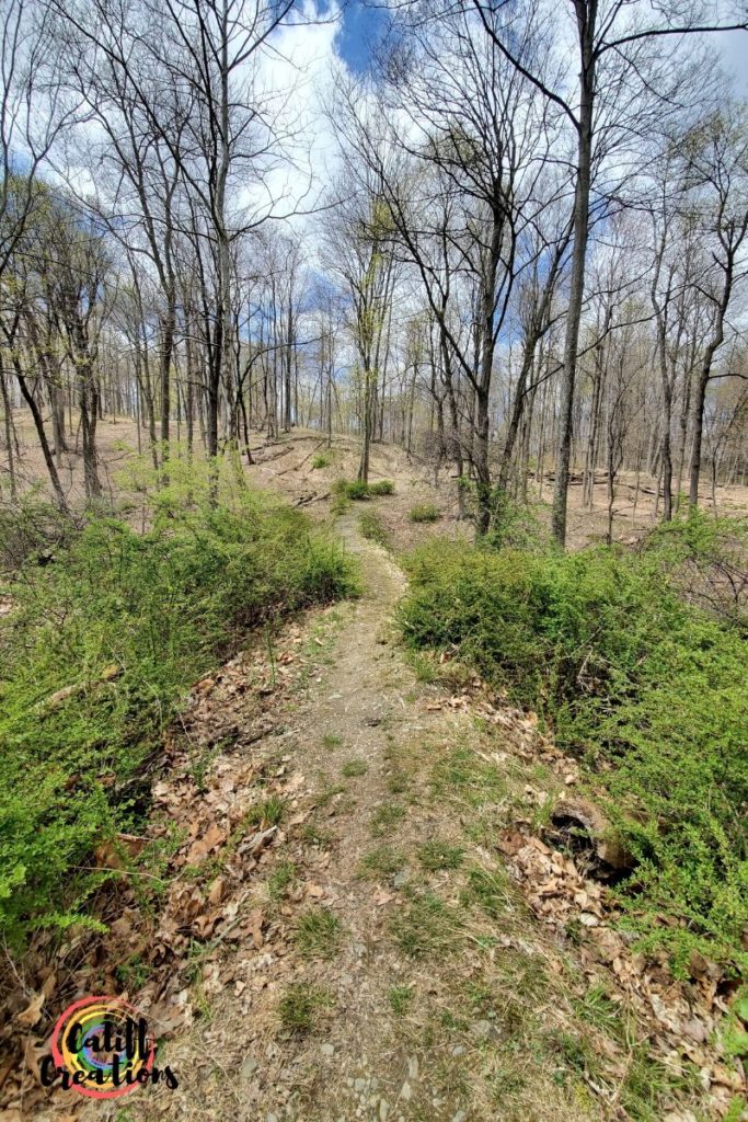 My trail run in April