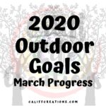 2020 Healthy Outdoor Goals Check In