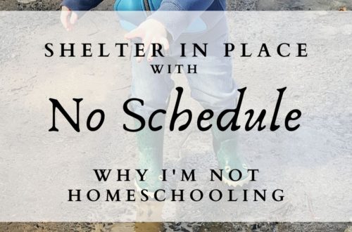 Shelter in place with no schedule, why I am not homeschooling