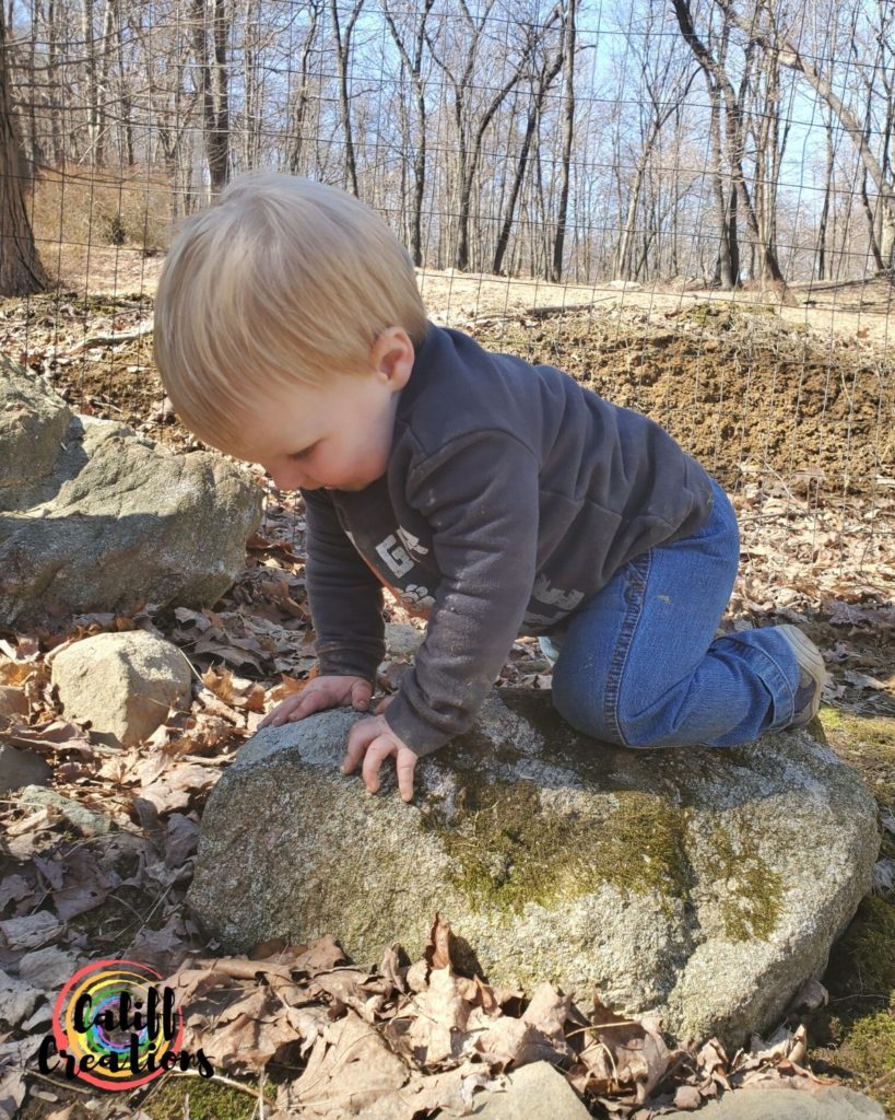 My youngest son climbing a rock and exploring the yard