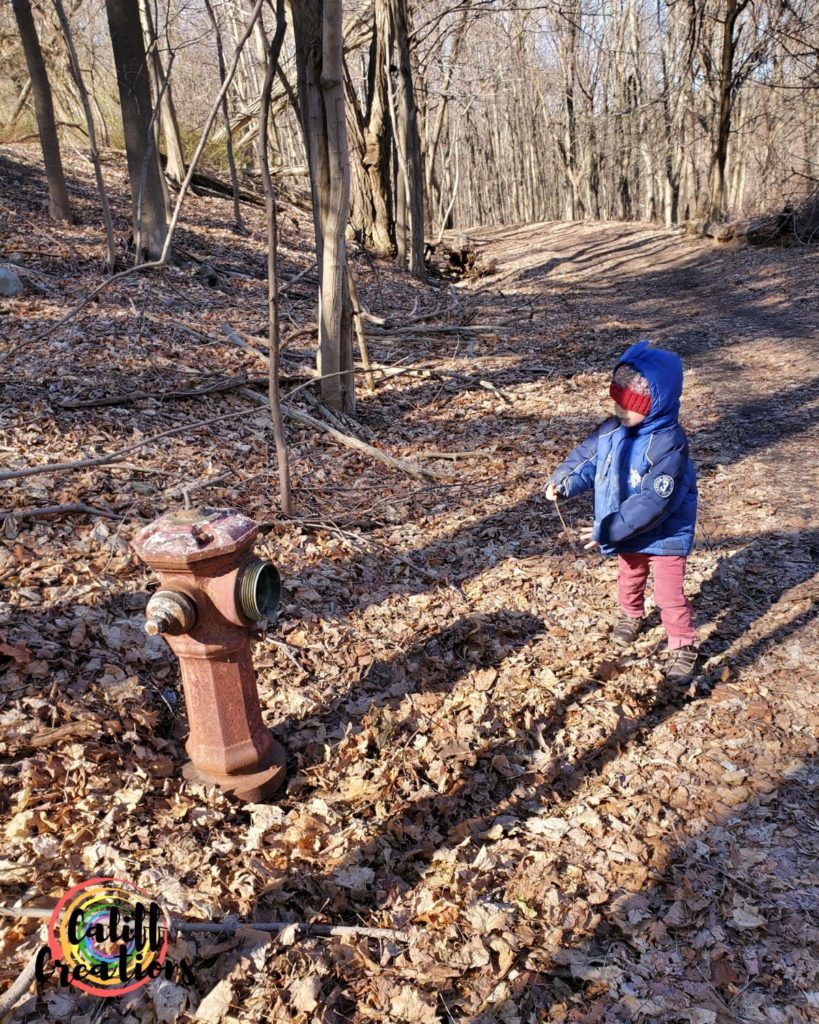 Finding an old fire hydrant on the trail