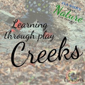 Learning through Play: Creeks