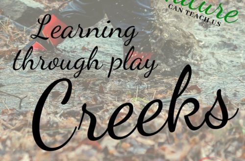 Learning through Play: Creeks