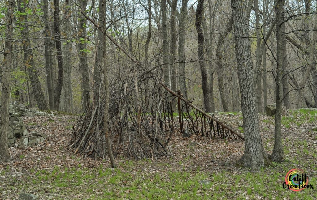 The fort we are building in the woods