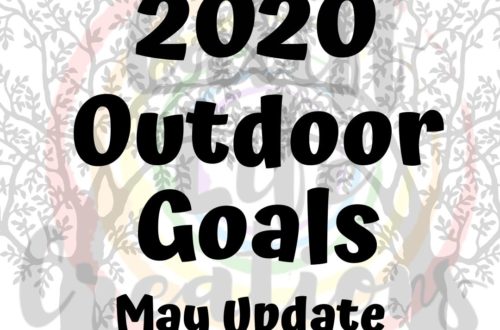 2020 May Monthly Goal Review