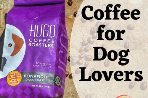 Coffee for Dog Lovers