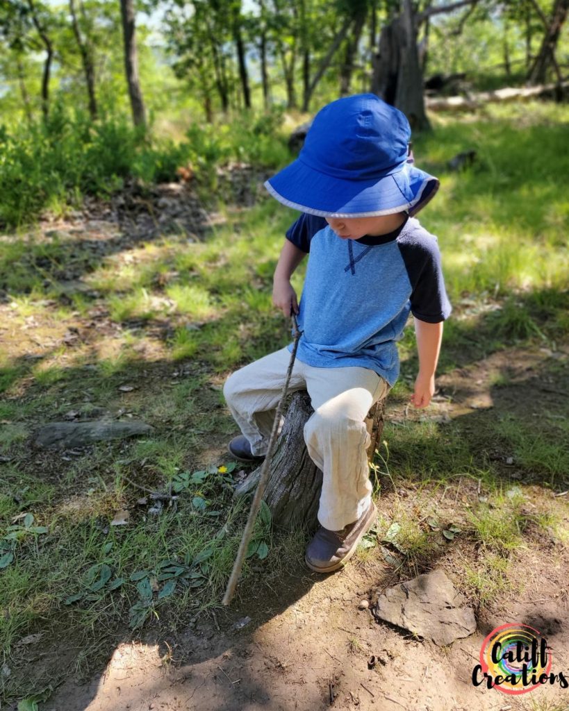 My 4 year old on the trail