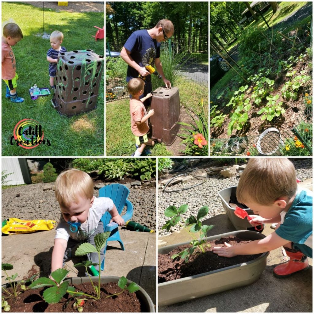 Gardening in June
