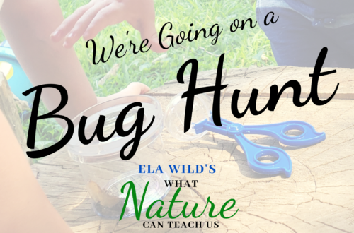 We're Going on a Bug Hunt!